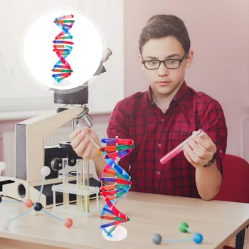 Модел на човешкото тяло, оборудване за научни експерименти Детска играчка за сглобяване на Децата изграждат самосборку Abs ДНК обучение
